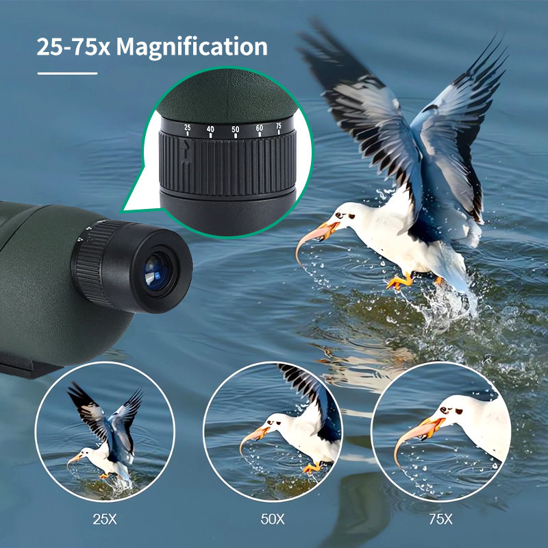 กล้องส่องเฉพาะจุด25-75x60ซูมได - Hunting Outdoor Watch บทวิจารณ์และราคา